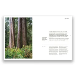 Australian Geographic takayna | TARKINE - One of the last wild places on Earth