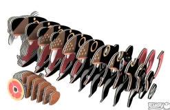 Australian Geographic Tasmanian Devil 3D Puzzle - by EUGY