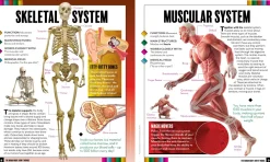 Kids Australian Geographic The Human Body