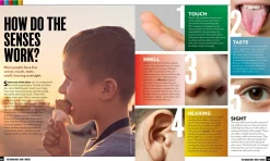 Kids Australian Geographic The Human Body