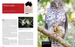 Australian Geographic Urban Wild