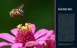 Australian Geographic Urban Wild