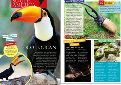 Kids Australian Geographic World's Most Extreme